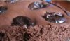 Как приготовить бархатный шоколадный тарт с черносливом?