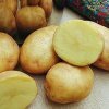 Что такое картофельный разгрузочный день? 