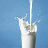 Как быстро похудеть на молоке?