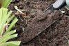 Как восстановить плодородие почвы после уборки урожая?