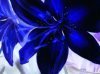 Что такое голубой цветок?