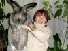Какая самая крупная порода кроликов? 