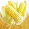 Что такое кукурузная диета?