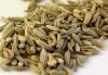 Какие настои лечебные можно сделать из семян аниса?