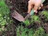 Как заготовить дерновую землю для комнатных растений? 