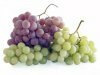 Какие средства для жирной кожи лица можно сделать из винограда?
