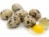В чем польза перепелиных яиц?
