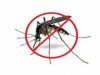 Какие домашние средства помогут отогнать комаров?