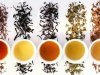 Чем отличаются различные сорта чая?