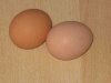 Помогут ли два яйца похудеть? 