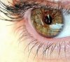 Какие продукты улучшают зрение? 