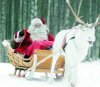 Как празднуют Новый Год в Финляндии?