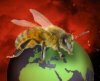 Почему вымирают пчёлы и чем это грозит?