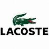 Почему аллигатор является эмблемой бренда Lacoste?