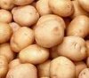 Как правильно готовить картофель? 
