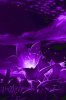 Что символизирует фиолетовый цвет?