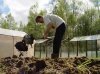 Как подготовить почву для выращивания фасоли?