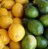 В чем отличие между лимоном и лаймом?