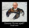 Почему Путин краб? 