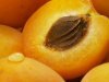 Как можно вырастить абрикос из косточки?