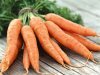 Как выбрать морковь? 
