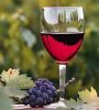 Какие вина обладают лечебными свойствами и почему?