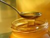 Как правильно выбрать мед?